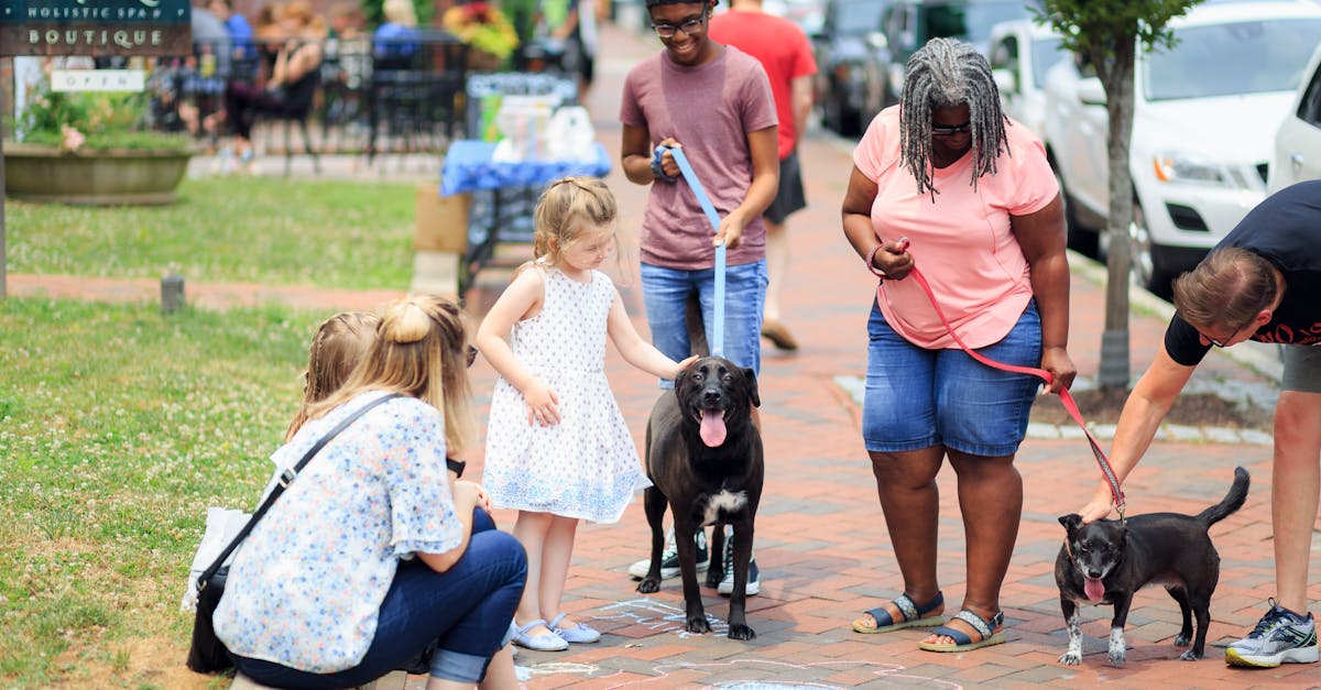 Person sitting by a window, looking thoughtful and isolated, suggesting someone wondering how to get help with money